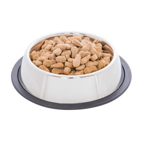 Купа от неръждаема стомана за храна за кучета, Ø 16 см, 450 мл - изображение 1 2