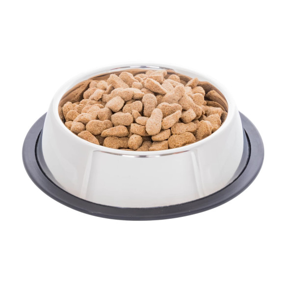 Купа от неръждаема стомана за храна за кучета, Ø 16 см, 450 мл - изображение 2