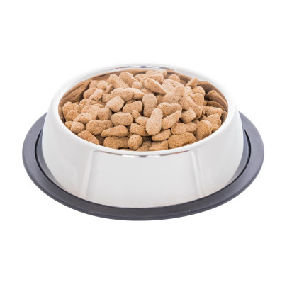 Купа от неръждаема стомана за храна за кучета, Ø 16 см, 450 мл - изображение 2