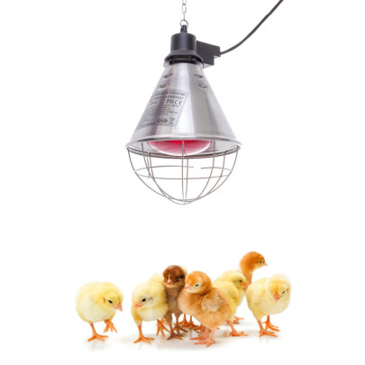 Инфрачервена нагревателна крушка, 150 W, Philips - изображение 2