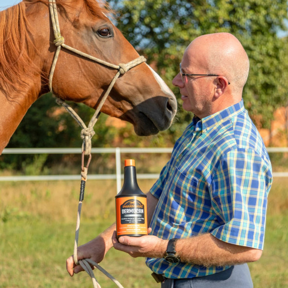 Шампоан за коне, Dermocan, 1000 мл :: 1000 ml - изображение 3