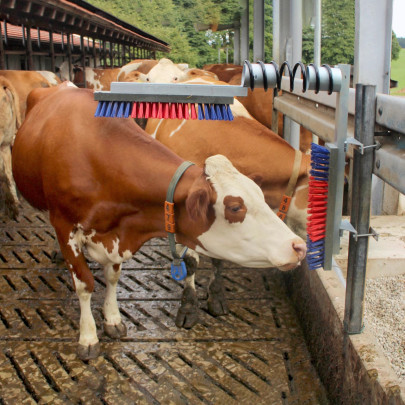 Механична четка за крави - изображение 7