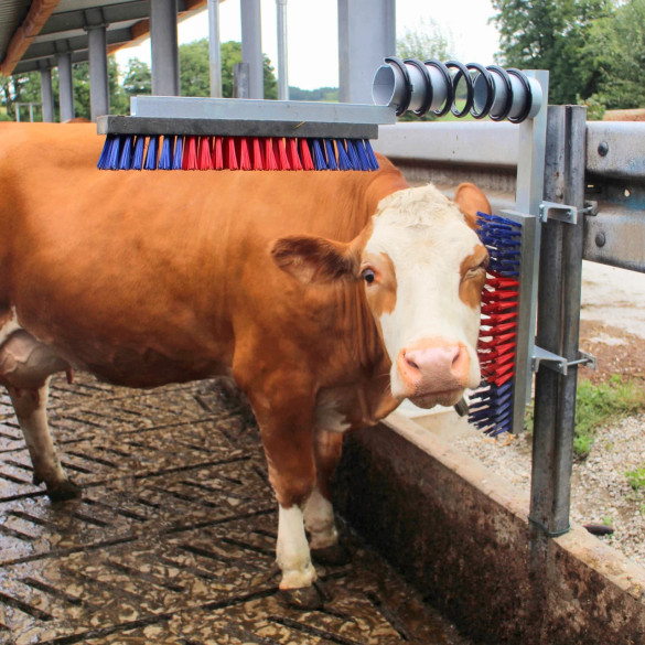 Механична четка за крави - изображение 8