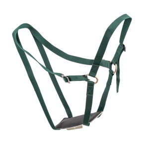 Полиамидна сбруя за маркиране на разплода на овце, закопчаване с катарами - изображение 1