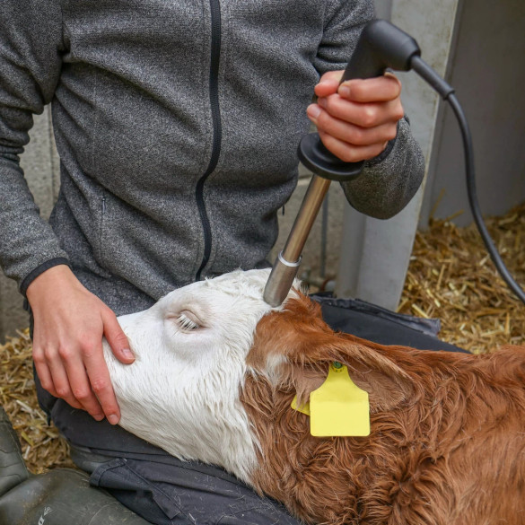 Електрически уред за обезроговяване, 230 V, с глава 18 мм - изображение 7