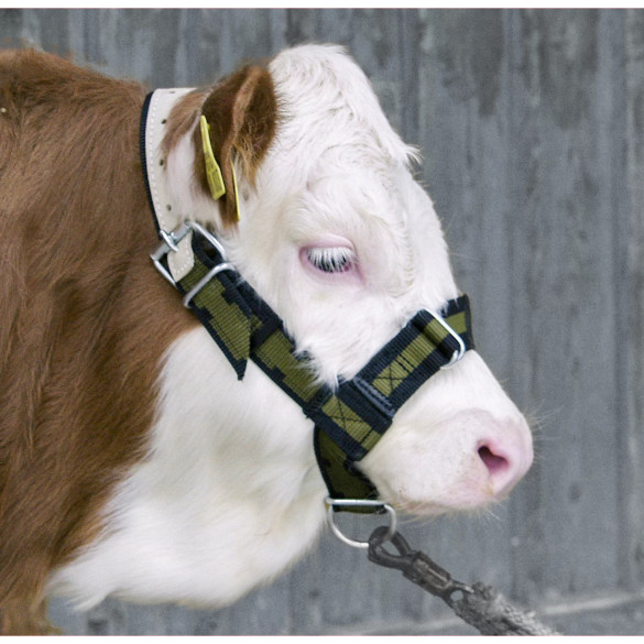 Оглавник (юлар) за телета - изображение 4