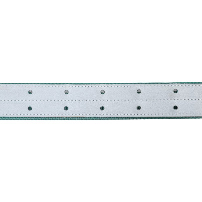 Нашийник за едър рогат добитък, 150 × 5 cm - изображение 6