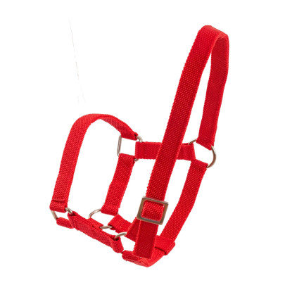 Оглавник (юлар) за овце и овни, червен - изображение 2