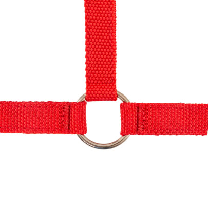 Оглавник (юлар) за овце и овни, червен - изображение 4