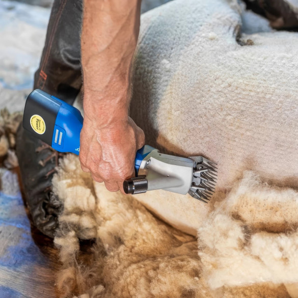 Машинка за стригане на овце, Aesculap Econom NOVA CL - изображение 10
