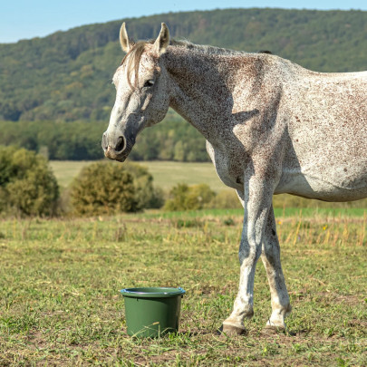 Kофа за хранене на живоните в обора, зелена, 20 литра - изображение 7