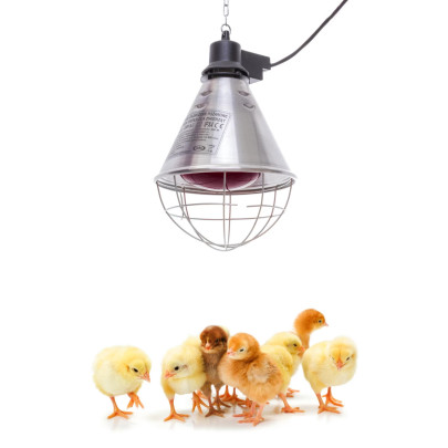 Инфрачервена нагревателна крушка, 150W, Kerbl - изображение 2