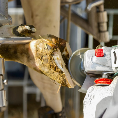 Абразивн диск с 3 ножа - изображение 10