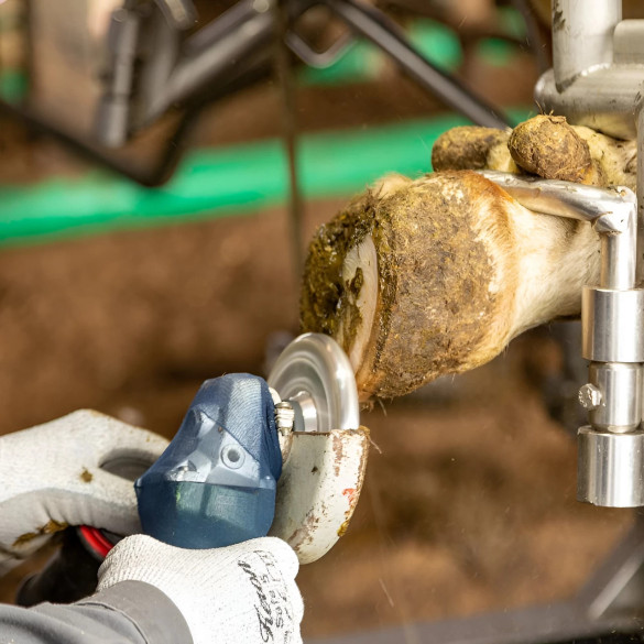 Абразивн диск с 3 ножа - изображение 11