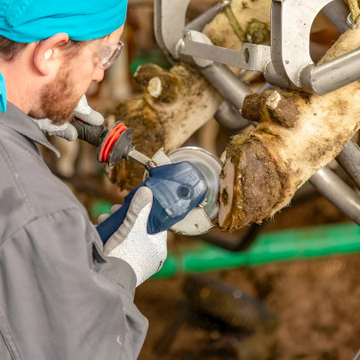 Абразивн диск с 6 ножа - изображение 12