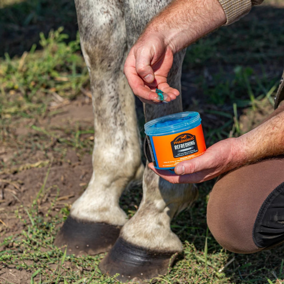 Масажен крем за коне, Pharmakas, 500 мл - изображение 6