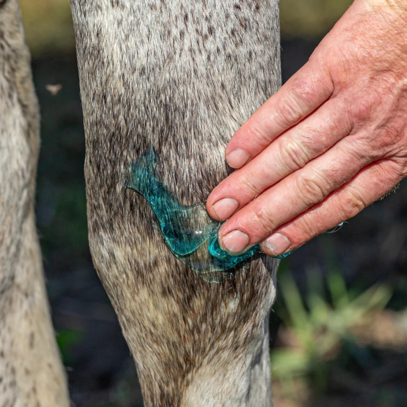 Масажен крем за коне, Pharmakas, 500 мл - изображение 7