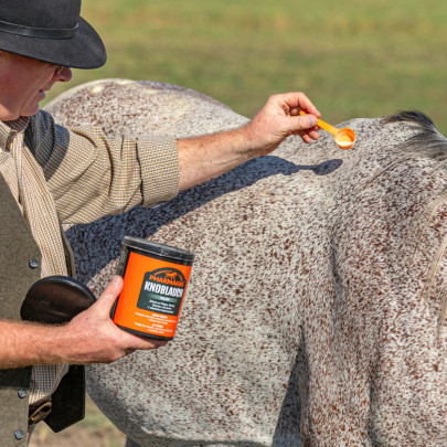 Чесън на прах срещу насекоми, 1 кг - изображение 7