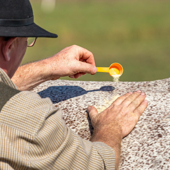 Чесън на прах срещу насекоми, 1 кг - изображение 8