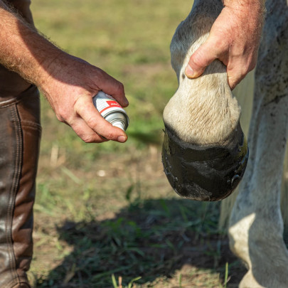 Спрей Hoof and Claw за грижа за копитата, ноктите и другите рогови тъкани, 200 мл - изображение 4