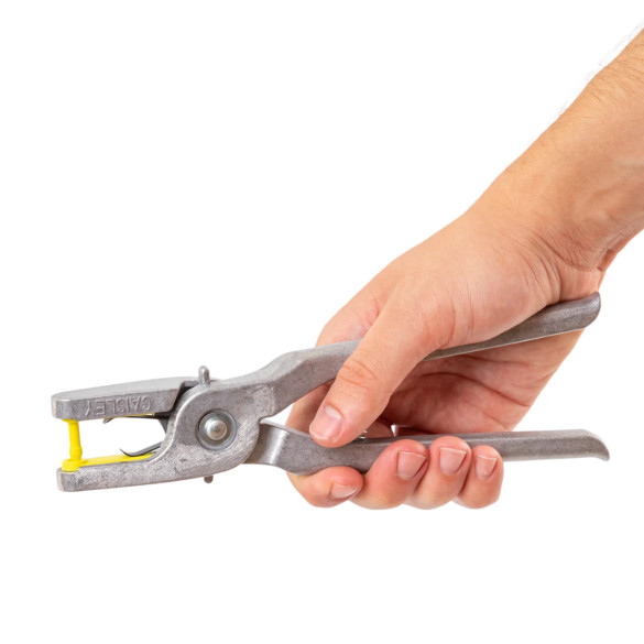 Ушни марки за агнета и ярета, Twintag, жълти, 51-100 - изображение 9