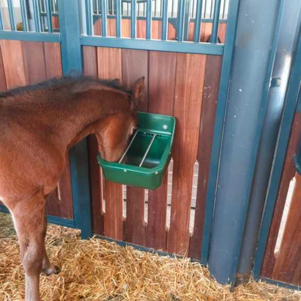 Хранилка за жребчета, 9 литра - изображение 11