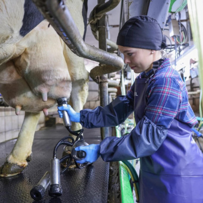 Защитни маншети за доене, 40см, 2 бр. - изображение 7