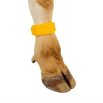 Гривна за маркиране на крави, пластмасова, жълта - изображение 8