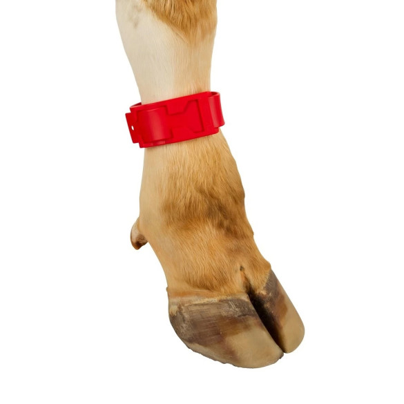 Гривна за маркиране на крави, пластмасова, червена - изображение 8