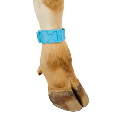 Гривна за маркиране на крави, пластмасова, синя - изображение 8