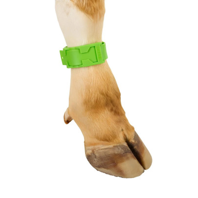 Гривна за маркиране на крави, пластмасова, зелена - изображение 8
