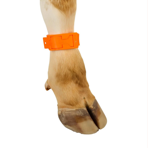 Гривна за маркиране на крави, пластмасова, оранжева - изображение 8