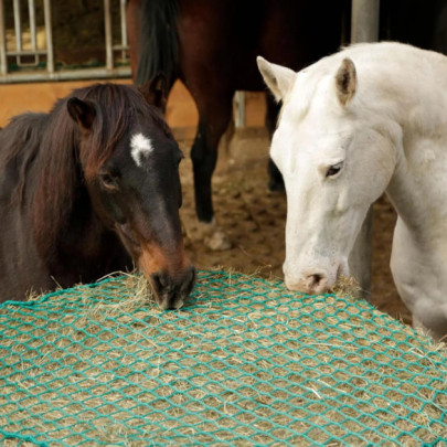 Мрежа за хранене на коне, 150 × 150см - изображение 7