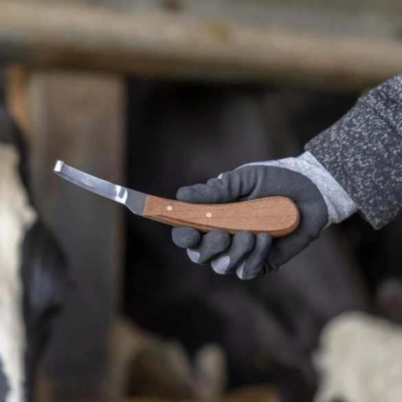 Нож за копита, едностранно острие, за десничари, Aesculap - изображение 10