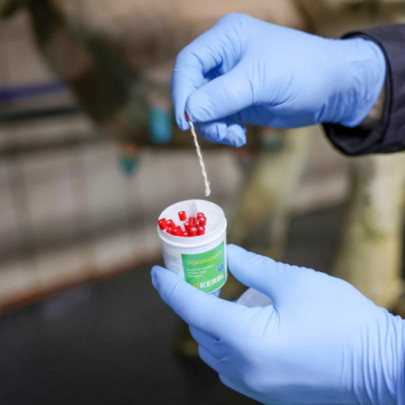 Вълнен щифт за разширяване на млечния канал, 20бр. - изображение 8