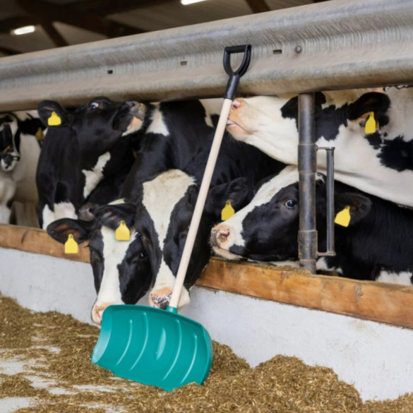 Лопата за обработка на фураж, без дръжка - изображение 8