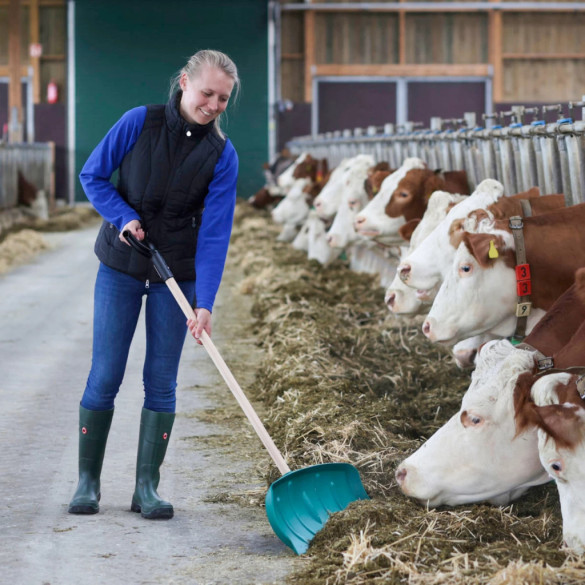 Лопата за обработка на фураж, без дръжка - изображение 9