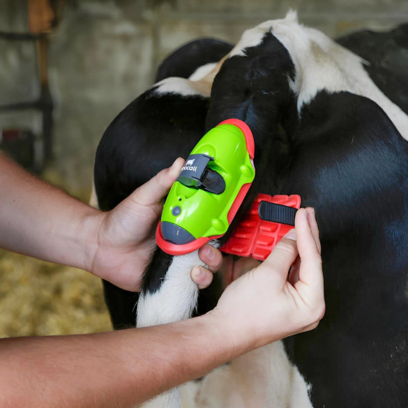 Сензор за отелване, Moocall - изображение 10