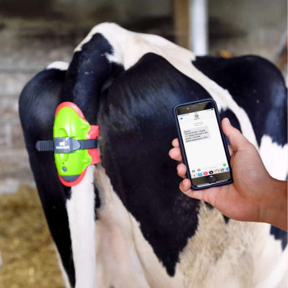 Сензор за отелване, Moocall - изображение 12