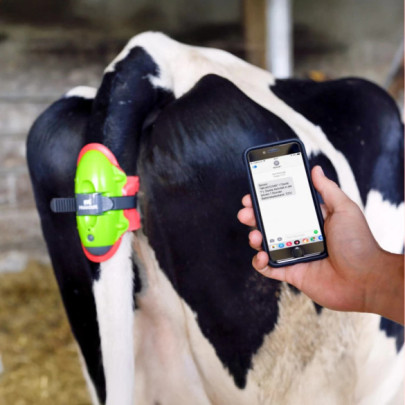 Сензор за отелване, Moocall - изображение 12