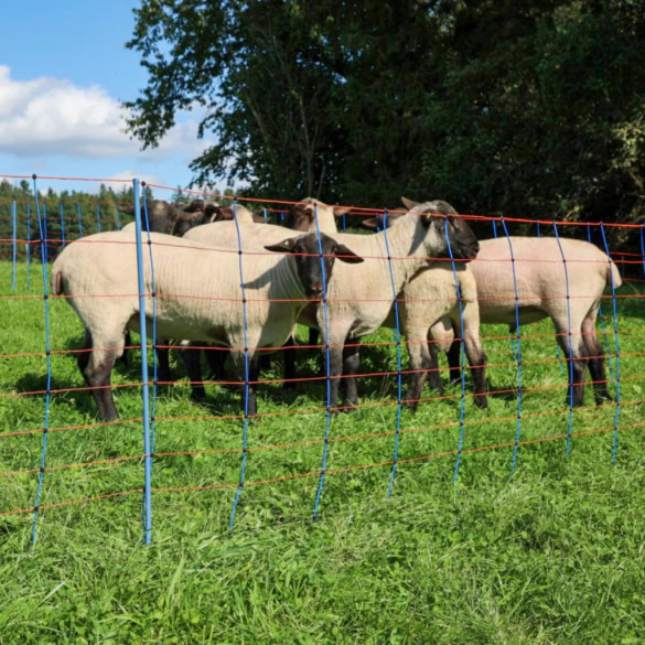 Мрежа за електропастир, TitanNet Premium, 50м × 90см - изображение 11