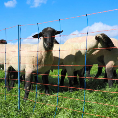 Мрежа за електропастир, TitanNet Premium, 50м × 108см - изображение 10