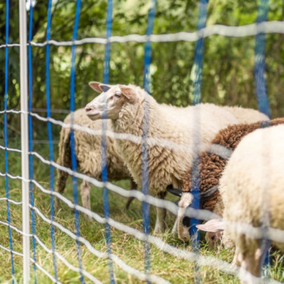 Мрежа за електропастир, TitanNet, 50м × 145см - изображение 12